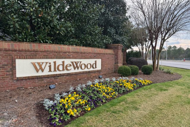 Untitled design (11)